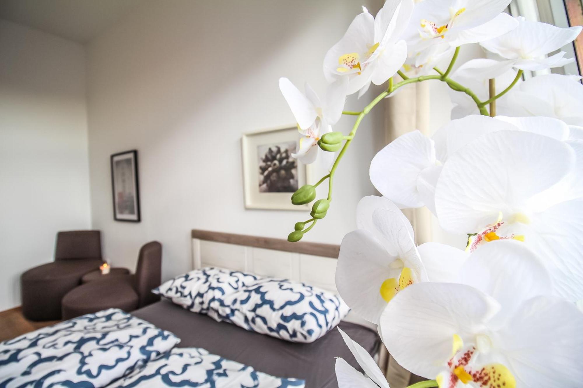 Disc Cozy In Liesing Accommodatie bij particulieren *